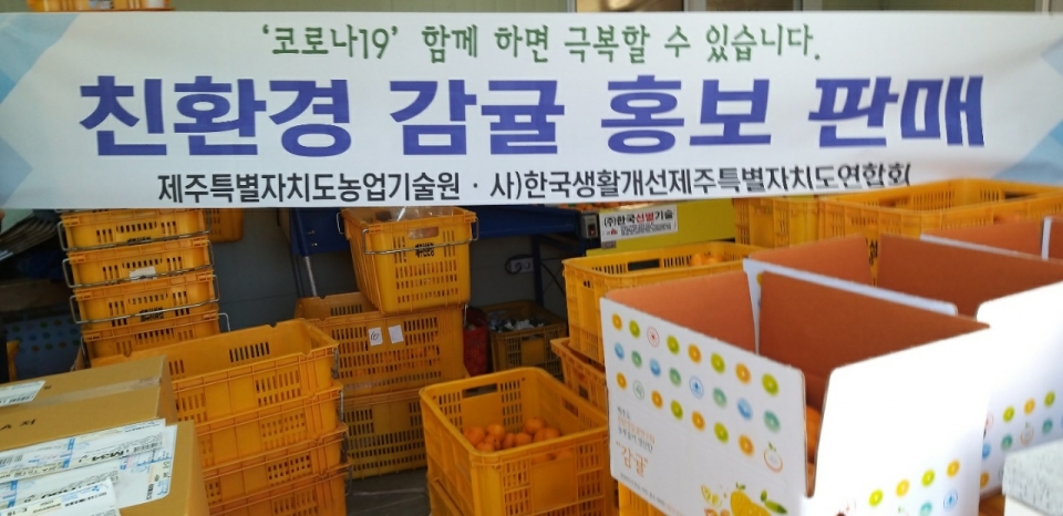 한국생활개선제주특별자치도연합회,@제주인뉴스