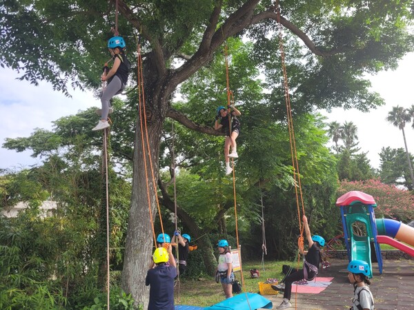 재릉초 학생들이 안전줄을 타고 나뭇가지까지 올라가고 있다. : 재릉초