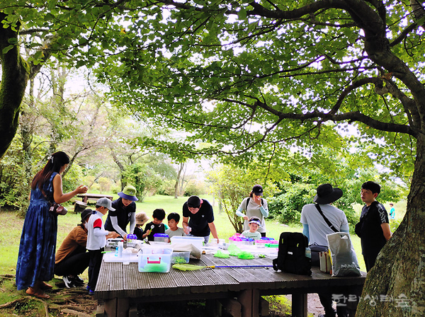 유아숲교육 활동. : 한라생태숲
