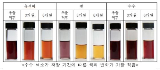 수수 추출 천연색소로 화장품, 나노섬유, 안경테 만드는 기술 개발